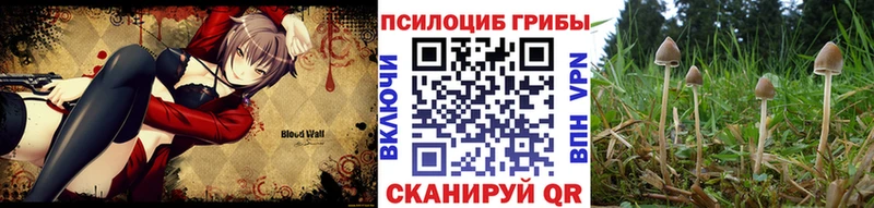 Галлюциногенные грибы мухоморы  Купить закладки  Среднеуральск 